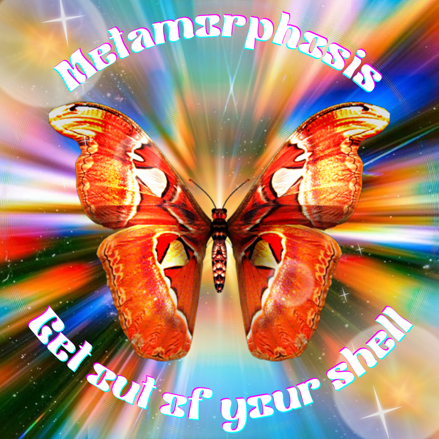 A colorful butterfly with streams of light radiating behind it. The words 'Metamorphosis, get out of your shell' are circling around it.